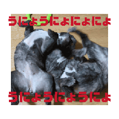 [LINEスタンプ] ティア丸