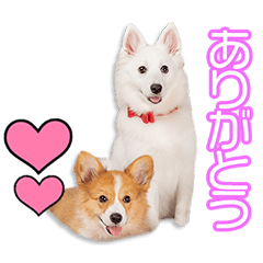 [LINEスタンプ] 斉藤家のルル＆ハルちゃん