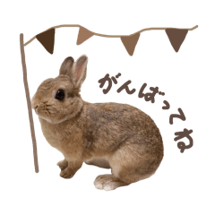 [LINEスタンプ] Meluちゃんのブラウンスタンプ