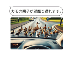 [LINEスタンプ] メッセージ＋写真スタンプ 女性向け