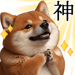 [LINEスタンプ] 肥犬【毎日使える】