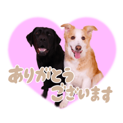 [LINEスタンプ] ロハレティ