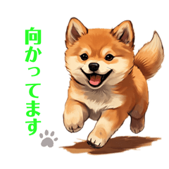 [LINEスタンプ] 柴犬さんず