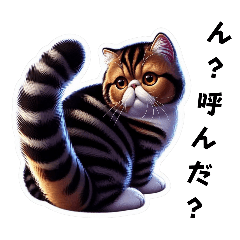 [LINEスタンプ] エキゾチックショートヘア（ブサカワ猫）