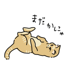 [LINEスタンプ] ツンデレ茶トラ猫さん