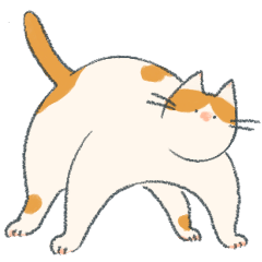 [LINEスタンプ] 白茶のねこ