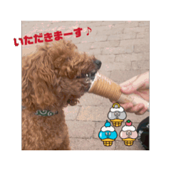 [LINEスタンプ] 動くCOTORA