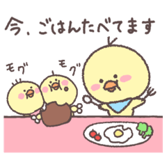 [LINEスタンプ] ひよこのぽこちゃん