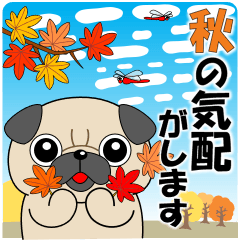 [LINEスタンプ] 飛び出す！パグパグ「秋の気配」の画像（メイン）