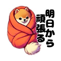 [LINEスタンプ] やる気のないポメラニアン’