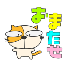 [LINEスタンプ] ねこたまの日常②⭐︎あきたま⭐︎