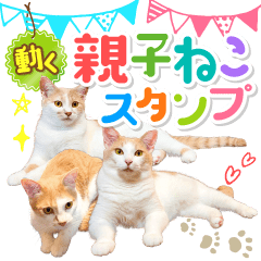 [LINEスタンプ] いつでも使える動く親子ねこスタンプ