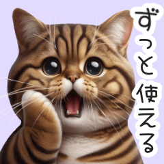 [LINEスタンプ] 茶虎縞柄可愛いマンチカン猫ニャンコの日常の画像（メイン）