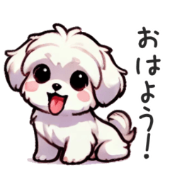 [LINEスタンプ] 毎日使えるマルチーズ