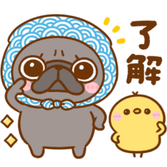 [LINEスタンプ] 毎日使える♡パグちゃん