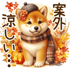 [LINEスタンプ] 喜怒哀楽の激しい秋の柴犬