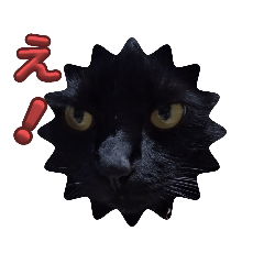 [LINEスタンプ] 黒猫とラグドール