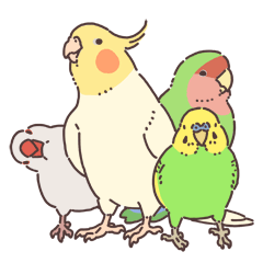 [LINEスタンプ] いろいろなインコたち