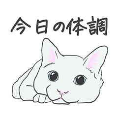 [LINEスタンプ] 白ネコ＿体調を伝える編