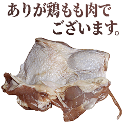 [LINEスタンプ] 敬語鶏もも肉の画像（メイン）