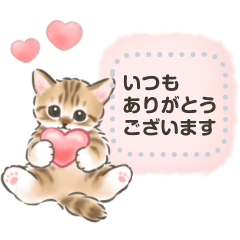 [LINEスタンプ] ふんわり☆猫たちのメッセージスタンプ