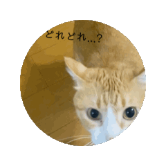 [LINEスタンプ] 。。動くつくねのスタンプ。。