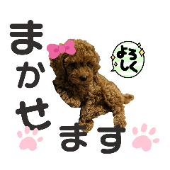 [LINEスタンプ] お転婆娘なの。ミレ