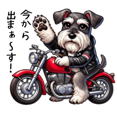 [LINEスタンプ] シュナウザーの日常・待ち合わせ