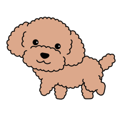 [LINEスタンプ] 犬スタンプ＃3 トイプードル