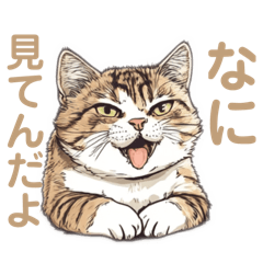 [LINEスタンプ] 強面で生意気な猫（日常使い）