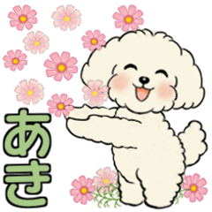 [LINEスタンプ] キュートなトイプードル ♡  ほっこり秋の画像（メイン）