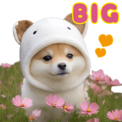 [LINEスタンプ] かわいい犬 ワンちゃんたち 秋の気遣いBIGの画像（メイン）