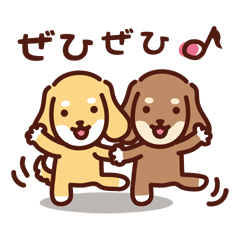 [LINEスタンプ] キュートなダックスのゆるい毎日スタンプの画像（メイン）