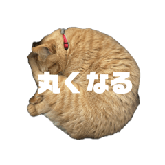 [LINEスタンプ] ろろみみちゃちゃ