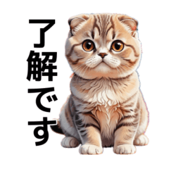 [LINEスタンプ] リアル猫【スコティッシュフォールド】