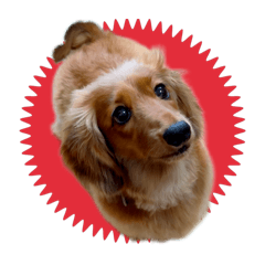 [LINEスタンプ] 太郎の感情スタンプ