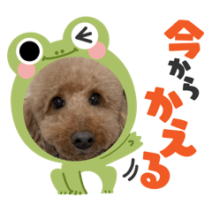 [LINEスタンプ] モコくんスタンプ3
