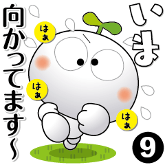 [LINEスタンプ] 「しろっち-09」毎日使えるスタンプ