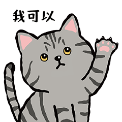 [LINEスタンプ] たくさんの猫がニャーと鳴く