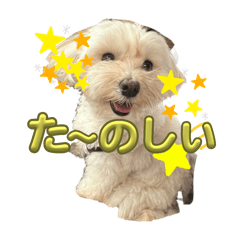 [LINEスタンプ] ごきげんな花の日常⑤の画像（メイン）