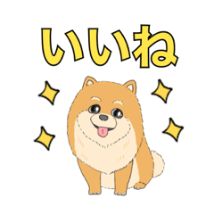 [LINEスタンプ] ポメラニアンかわいいスタンプ