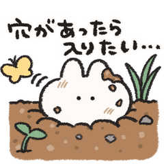 [LINEスタンプ] いろいろやる うさぎときどきにんじん