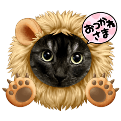 [LINEスタンプ] 保護猫 アビー➕