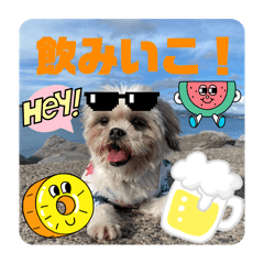 [LINEスタンプ] リリーマリオ