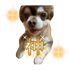 [LINEスタンプ] こてつの日常（デイリーver）