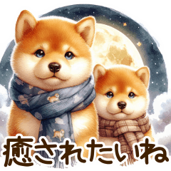 [LINEスタンプ] 毎日使える日常の柴犬