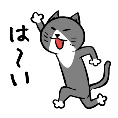 [LINEスタンプ] はちわれカイと黒猫ナル