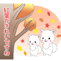 [LINEスタンプ] ちび白モフ13【秋】