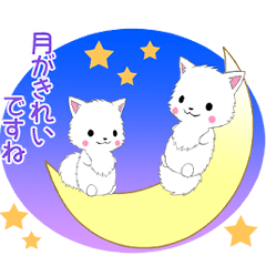 [LINEスタンプ] 飛び出す！ちび白モフ13【秋】