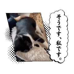 [LINEスタンプ] みぃこまひび3